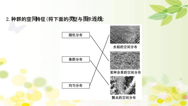 新高考生物一轮复习课件 第九单元 第1课 种群的特征和数量的变化(含解析)05