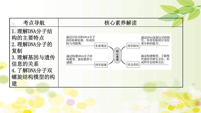 新高考生物一轮复习课件 第六单元 第2课 DNA分子的结构 复制和基因的本质(含解析)第2页