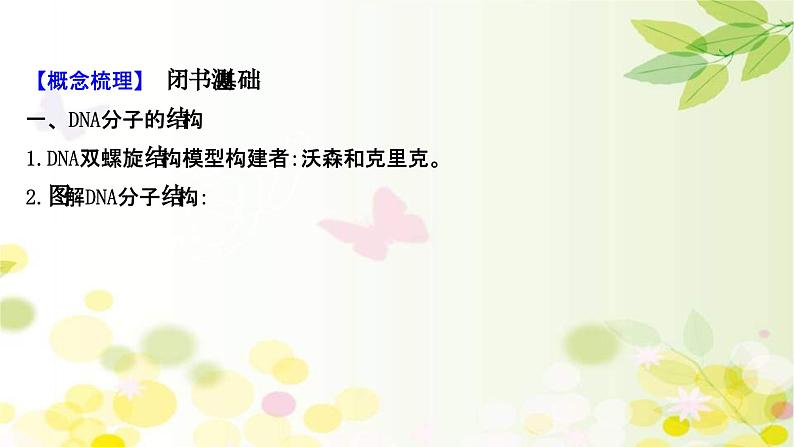 新高考生物一轮复习课件 第六单元 第2课 DNA分子的结构 复制和基因的本质(含解析)第4页