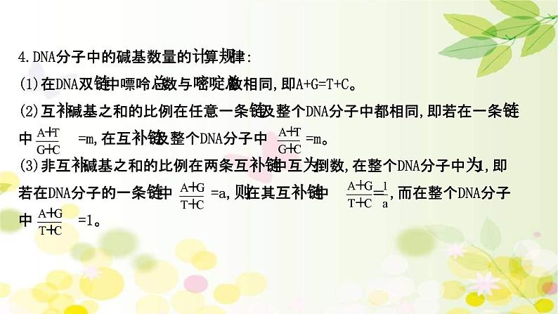 新高考生物一轮复习课件 第六单元 第2课 DNA分子的结构 复制和基因的本质(含解析)第7页