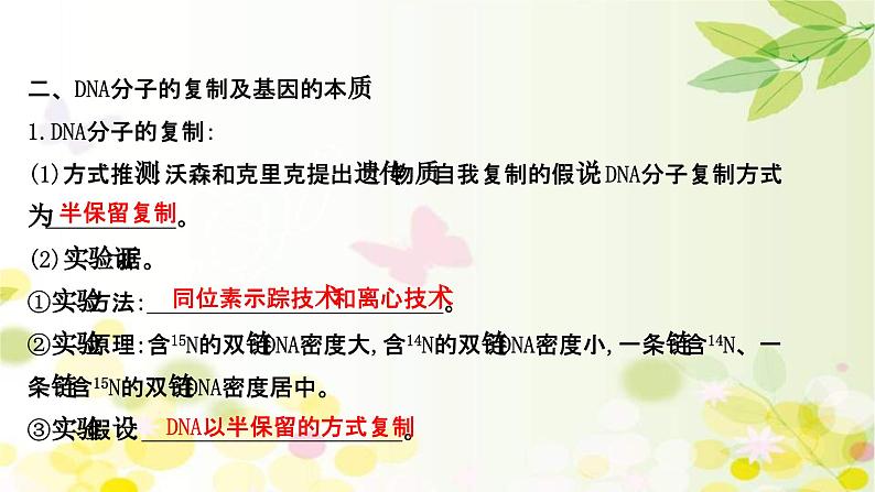 新高考生物一轮复习课件 第六单元 第2课 DNA分子的结构 复制和基因的本质(含解析)第8页