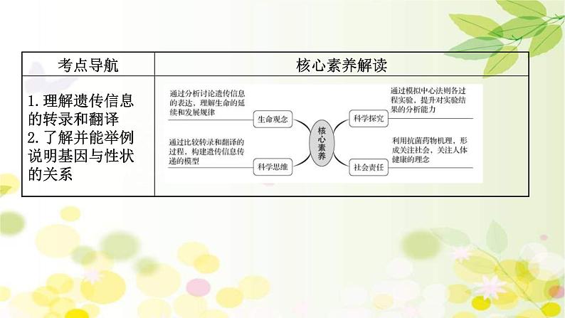新高考生物一轮复习课件 第六单元 第3课 基因的表达(含解析)02