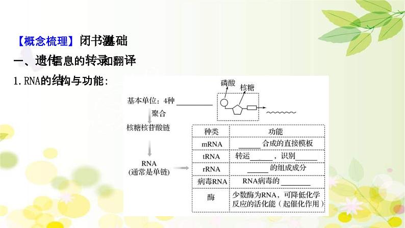 新高考生物一轮复习课件 第六单元 第3课 基因的表达(含解析)04