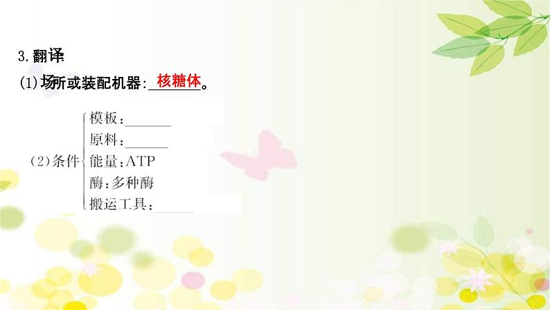 新高考生物一轮复习课件 第六单元 第3课 基因的表达(含解析)07