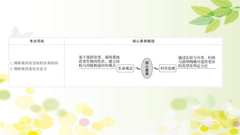 新高考生物一轮复习课件 第七单元 第1课 基因突变和基因重组（含解析）02