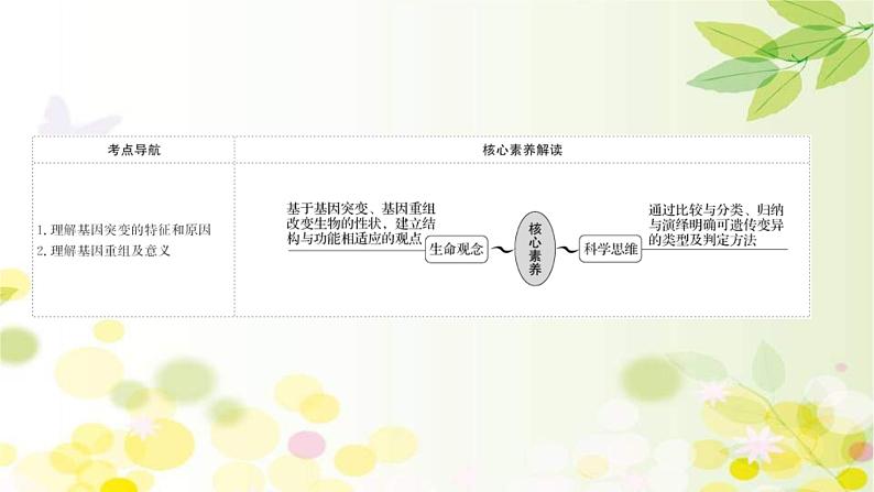 新高考生物一轮复习课件 第七单元 第1课 基因突变和基因重组(含解析)02