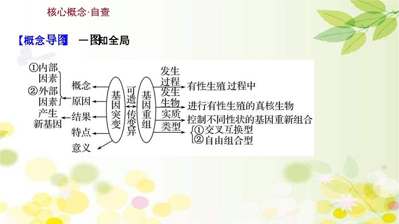 新高考生物一轮复习课件 第七单元 第1课 基因突变和基因重组(含解析)03