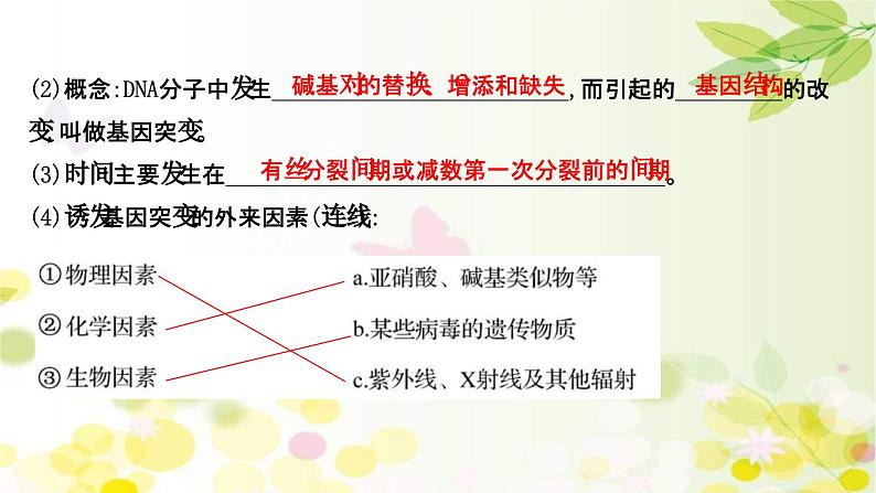 新高考生物一轮复习课件 第七单元 第1课 基因突变和基因重组(含解析)05