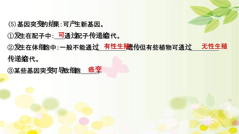 新高考生物一轮复习课件 第七单元 第1课 基因突变和基因重组(含解析)06