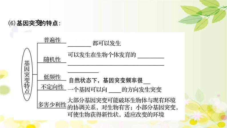 新高考生物一轮复习课件 第七单元 第1课 基因突变和基因重组(含解析)07