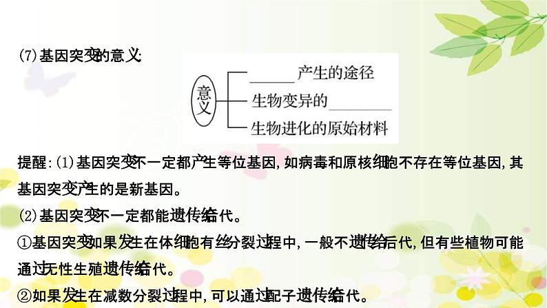 新高考生物一轮复习课件 第七单元 第1课 基因突变和基因重组(含解析)08