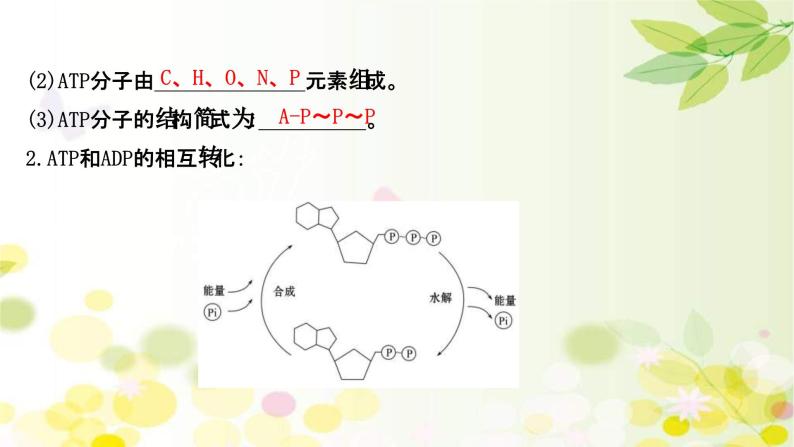 新高考生物一轮复习课件 第三单元 第1课 ATP和酶（含解析）05