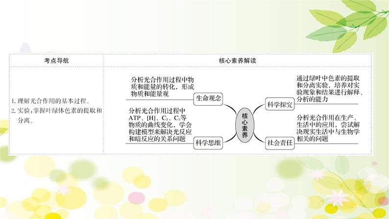 新高考生物一轮复习课件 第三单元 第3课 光合作用探究历程和基本过程(含解析)02