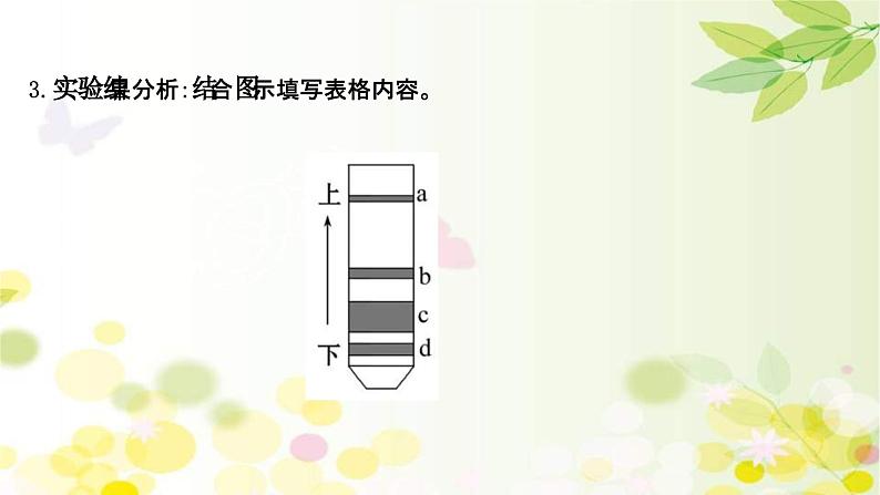 新高考生物一轮复习课件 第三单元 第3课 光合作用探究历程和基本过程(含解析)07