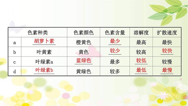 新高考生物一轮复习课件 第三单元 第3课 光合作用探究历程和基本过程(含解析)08
