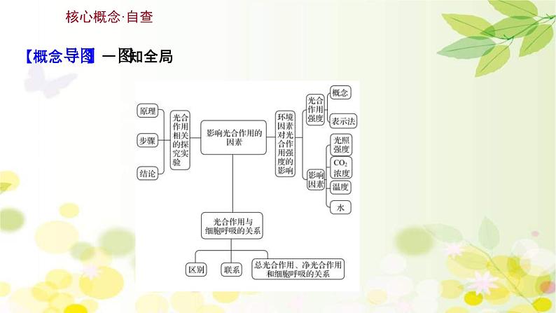 新高考生物一轮复习课件 第三单元 第4课 影响光合作用的因素及光合作用和细胞呼吸的关系(含解析)03