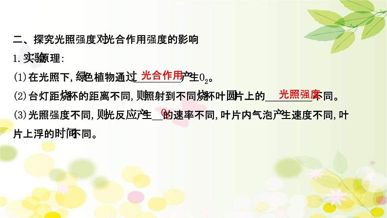 新高考生物一轮复习课件 第三单元 第4课 影响光合作用的因素及光合作用和细胞呼吸的关系(含解析)06
