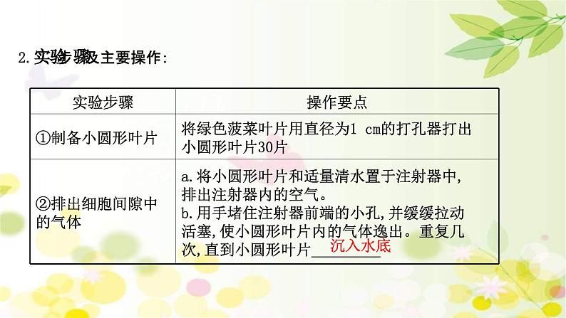 新高考生物一轮复习课件 第三单元 第4课 影响光合作用的因素及光合作用和细胞呼吸的关系(含解析)07