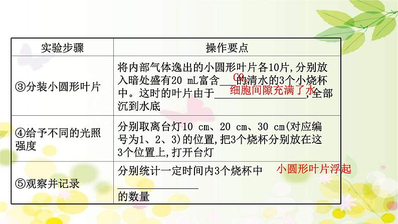 新高考生物一轮复习课件 第三单元 第4课 影响光合作用的因素及光合作用和细胞呼吸的关系(含解析)08