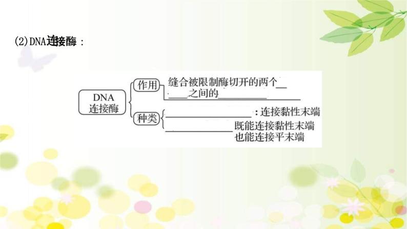 新高考生物一轮复习课件 第十单元 第4课 基 因 工 程（含解析）07