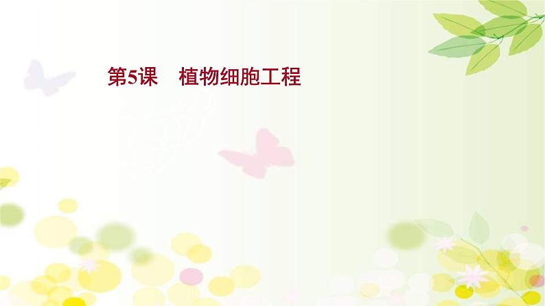 新高考生物一轮复习课件 第十单元 第5课 植物细胞工程(含解析)第1页