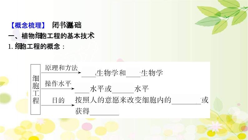 新高考生物一轮复习课件 第十单元 第5课 植物细胞工程(含解析)第4页