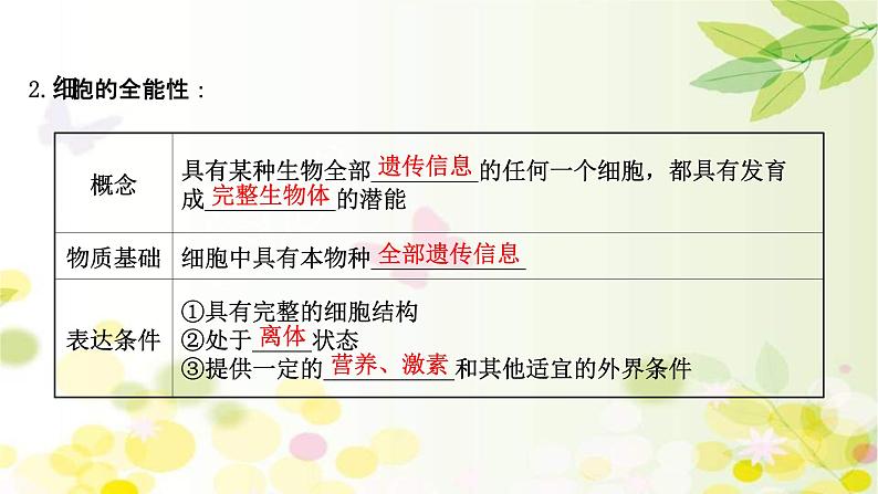 新高考生物一轮复习课件 第十单元 第5课 植物细胞工程(含解析)第5页