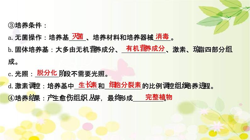 新高考生物一轮复习课件 第十单元 第5课 植物细胞工程(含解析)第7页