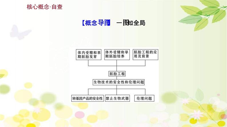 新高考生物一轮复习课件 第十单元 第7课 胚胎工程与生物技术的安全性和伦理问题(含解析)第3页