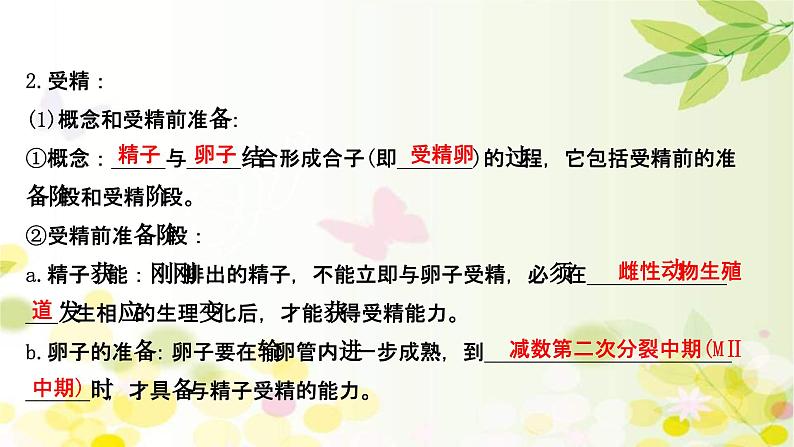 新高考生物一轮复习课件 第十单元 第7课 胚胎工程与生物技术的安全性和伦理问题(含解析)第6页