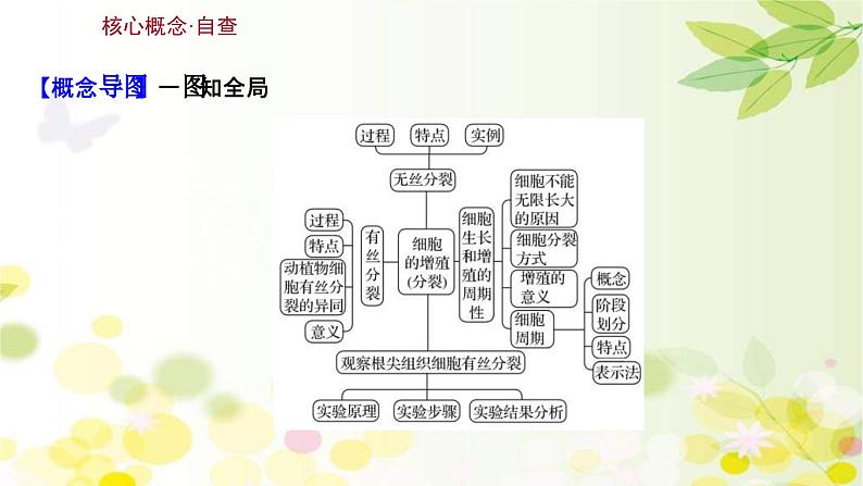 新高考生物一轮复习课件 第四单元 第1课 细胞的有丝分裂(含解析)第3页