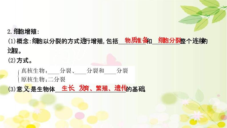 新高考生物一轮复习课件 第四单元 第1课 细胞的有丝分裂(含解析)第5页
