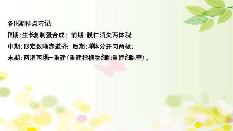 新高考生物一轮复习课件 第四单元 第1课 细胞的有丝分裂(含解析)第8页