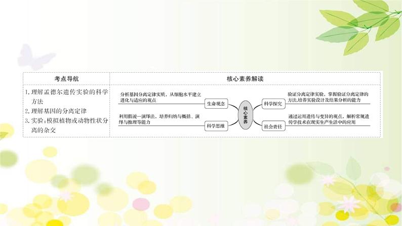 新高考生物一轮复习课件 第五单元 第1课 基因的分离定律(含解析)02