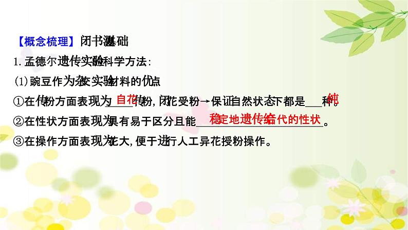 新高考生物一轮复习课件 第五单元 第1课 基因的分离定律(含解析)04