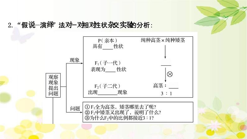 新高考生物一轮复习课件 第五单元 第1课 基因的分离定律(含解析)07
