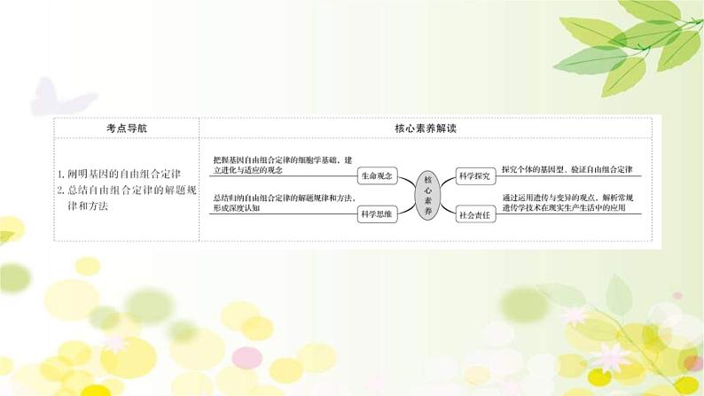 新高考生物一轮复习课件 第五单元 第2课 基因的自由组合定律(含解析)02