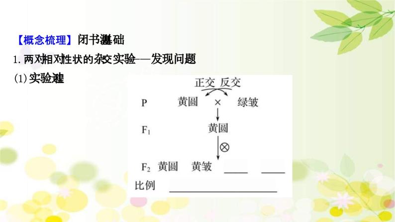 新高考生物一轮复习课件 第五单元 第2课 基因的自由组合定律（含解析）04