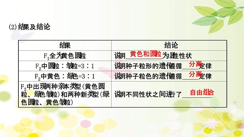 新高考生物一轮复习课件 第五单元 第2课 基因的自由组合定律(含解析)05