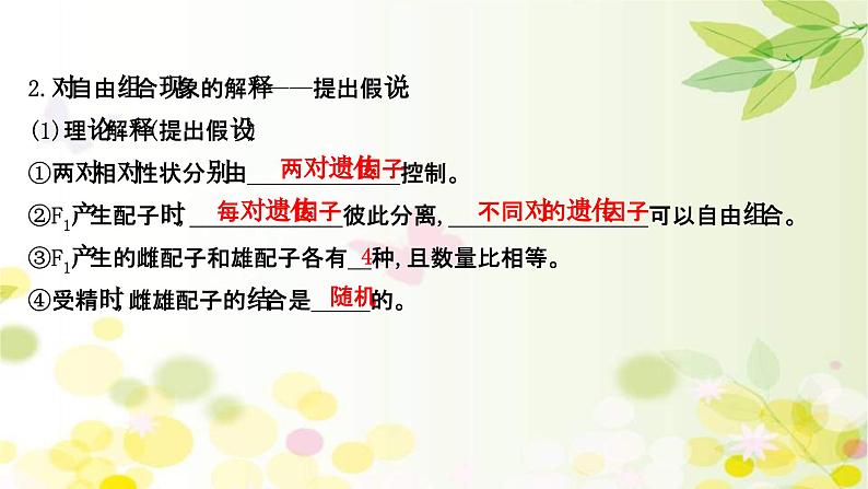 新高考生物一轮复习课件 第五单元 第2课 基因的自由组合定律(含解析)07
