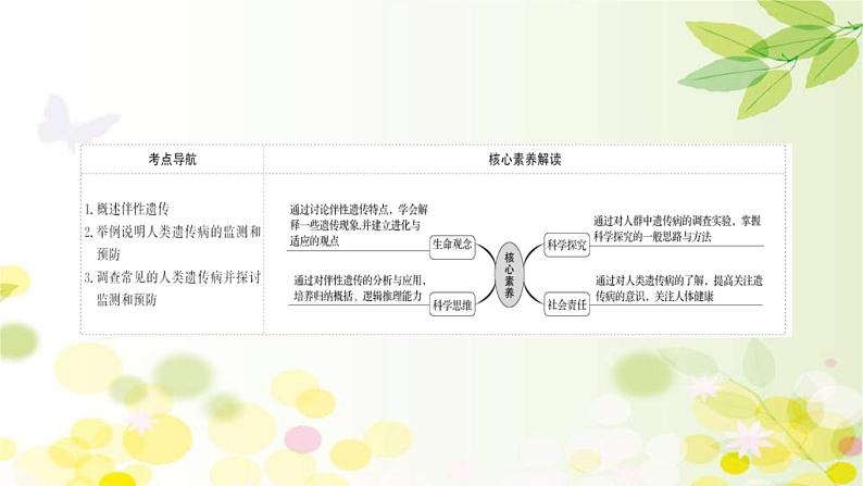 新高考生物一轮复习课件 第五单元 第3课 基因在染色体上、伴性遗传与人类遗传病(含解析)第2页