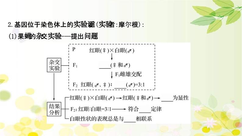 新高考生物一轮复习课件 第五单元 第3课 基因在染色体上、伴性遗传与人类遗传病(含解析)第6页