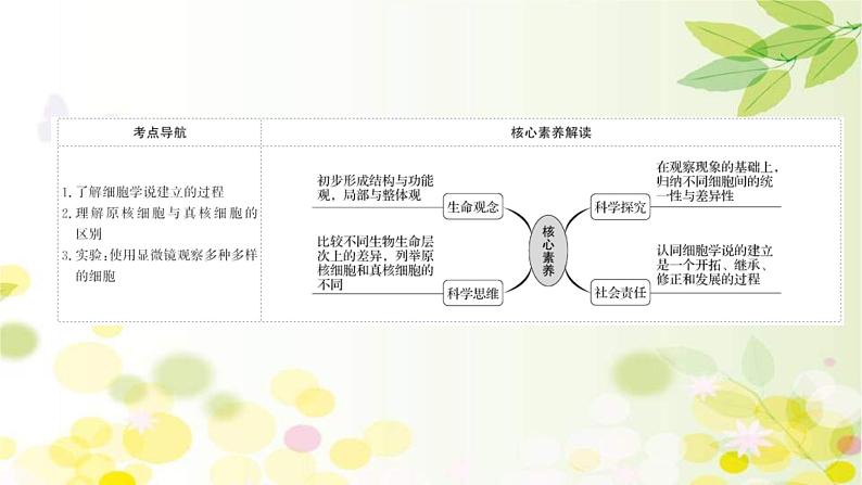 新高考生物一轮复习课件 第一单元 第1课 走 近 细胞(含解析)第2页