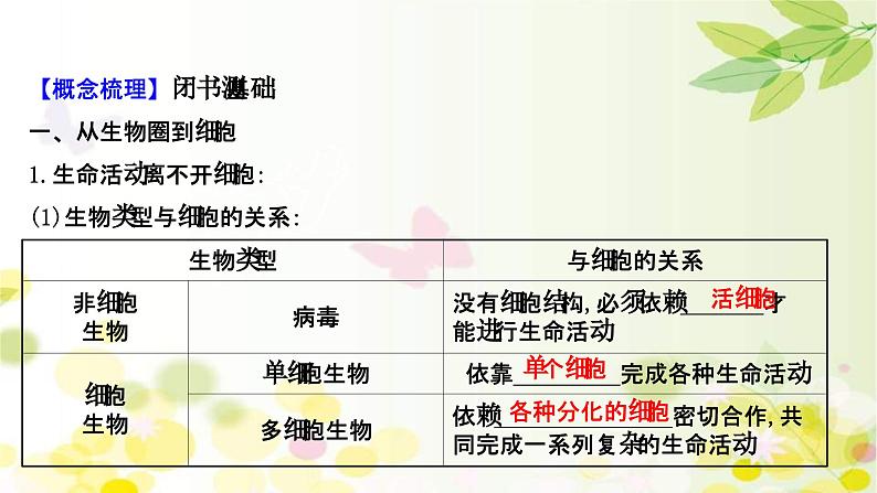 新高考生物一轮复习课件 第一单元 第1课 走 近 细胞(含解析)第4页