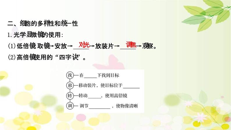 新高考生物一轮复习课件 第一单元 第1课 走 近 细胞(含解析)第7页