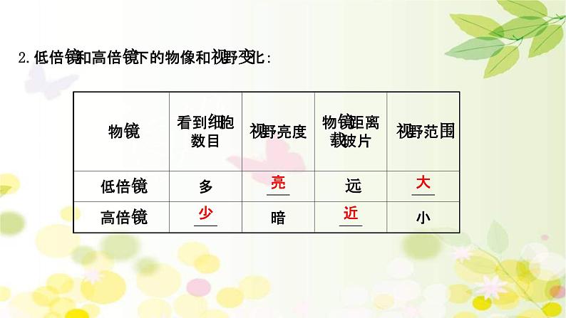 新高考生物一轮复习课件 第一单元 第1课 走 近 细胞(含解析)第8页