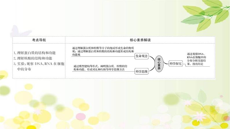 新高考生物一轮复习课件 第一单元 第3课 蛋白质和核酸(含解析)02