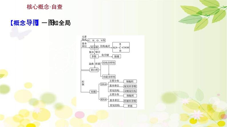 新高考生物一轮复习课件 第一单元 第3课 蛋白质和核酸(含解析)03