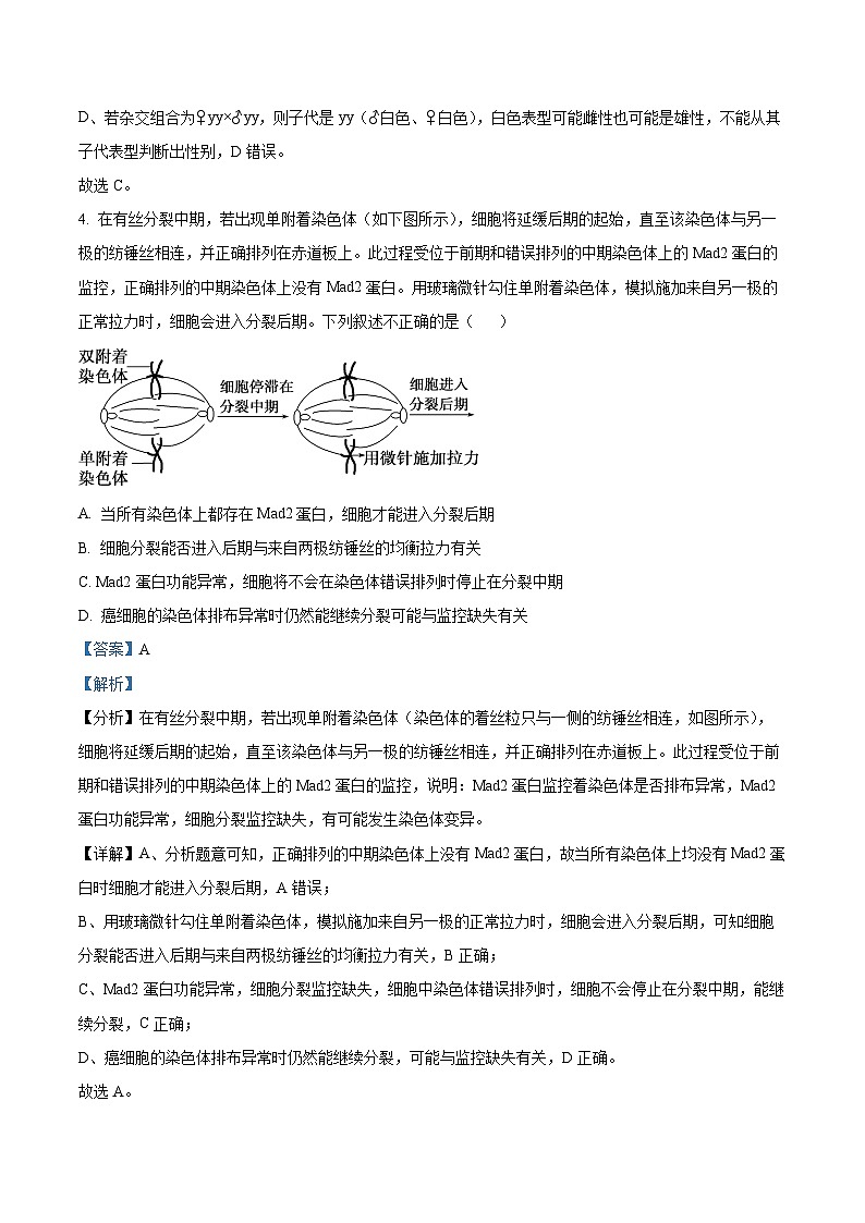 四川省德阳市什邡中学2022-2023学年高一生物下学期第一次月考试题(Word版附解析)03