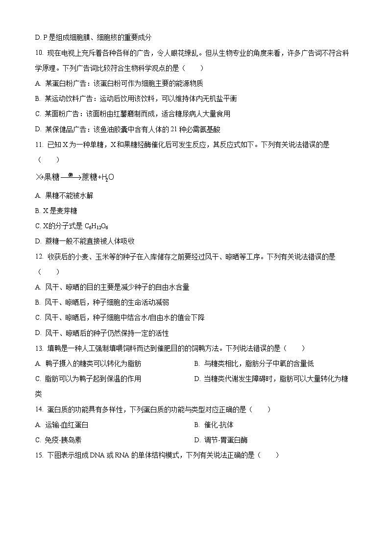 2024遵义高一上学期10月月考试题生物含答案第3页